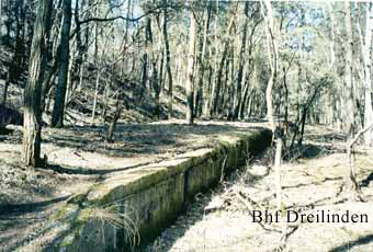 Bild 45 zugewachsener Bahnsteig Dreilinden