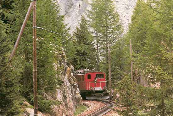 Bild 11 FO Lok in mit Tannen bewachsener Schlucht (CH)