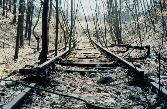 Bild 25 Restgleis im Wald v&ouml;llig verfallen