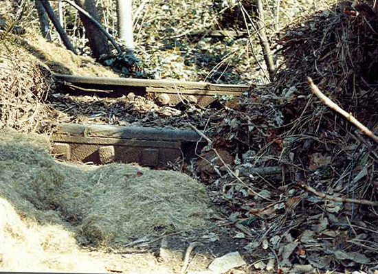 Bild 34 zugewachserner Schienenstoss 