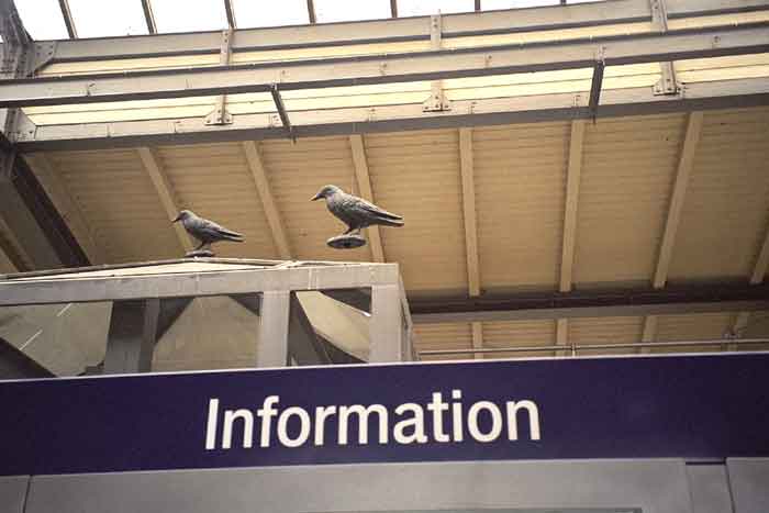 Bild 3 Kunstraben &uuml;ber der Information